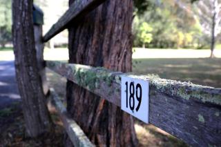 The Paddock in Berry - 7