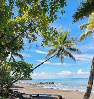 Malani Lodge Tamarindo - 3