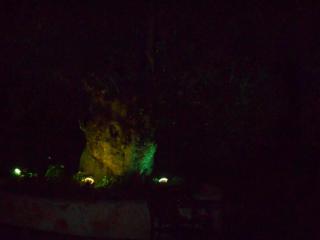 Heliactida House - 3
