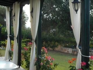 Heliactida House - 5
