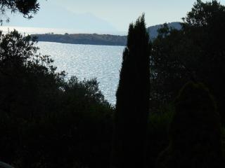 Heliactida House - 9