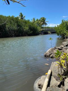 SeaSide HomeStay and Airport Shuttles - 8