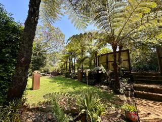 The Sculptors Cottage - Tamborine Mountain - 3