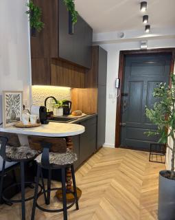 Apartament na Starym Mieście Lisowskiego - Zielona Góra - 7