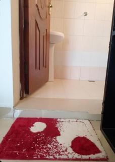 Reef Nest Studio - 6