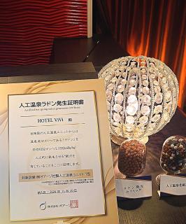 大垣ホテルヴィヴィ - 1