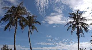 Bien Ngoc Hotel - Ly Son - 6