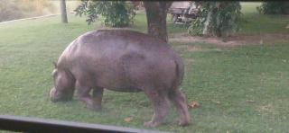 Camp Hogo Kavango - 9