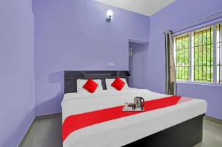 Collection O Clement Holydays - 1