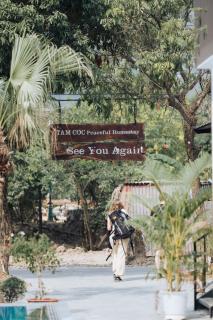 Tamcoc peacefull - 9