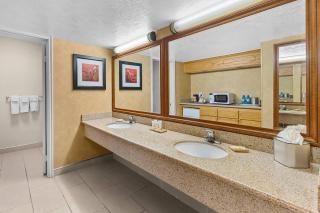 Radisson Hotel Salt Lake City Airport - 5