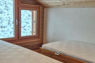 Stadel Alpenstern mit Wellnessbereich - 1