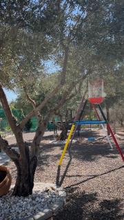 Oasis Pool in the Desert BBQ and Garden - 1