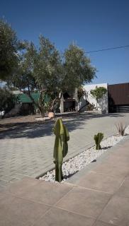 Oasis Pool in the Desert BBQ and Garden - 3