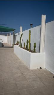 Oasis Pool in the Desert BBQ and Garden - 5