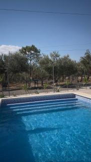 Oasis Pool in the Desert BBQ and Garden - 6