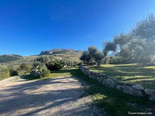 Tenute Armani The Castle Live an Experience - 7