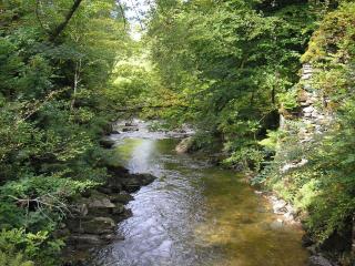 Butlers Quarters Apartment - 1