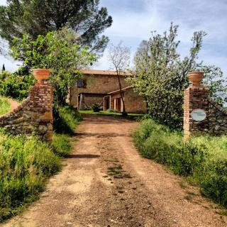 Villa Berti - 7