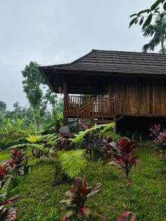 Dopi Rinjani Homestay - Tetebatu - 2