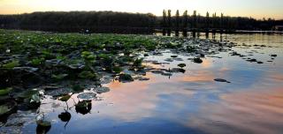 Pensiunea Pelicanilor - 7