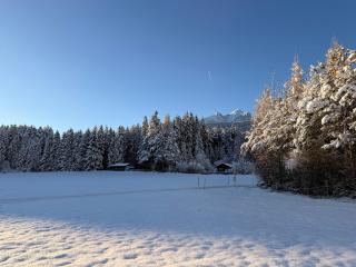 Waldchalet am Eichhof - 9