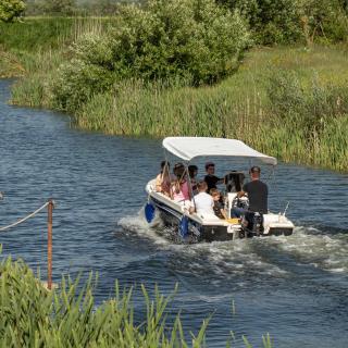 Pensiunea Pelicanilor - 2