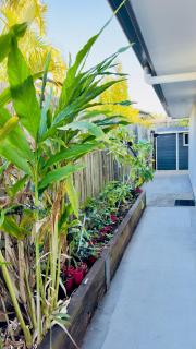 Mini farm house at Mangohill - 3