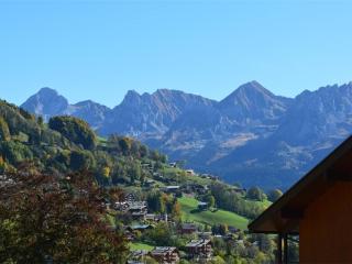 Studio avec coin nuit - 4 pers - Centre Grand Bornand, proche télécabine - FR-1-241-226 - 1