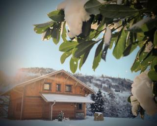Chalet moderne et cosy en bois, sauna, terrasse et vue montagne - 0