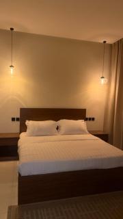 شقة مخدومة خاصة - 0