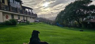 Complejo Rural Las Mimosas del Nalon - 8