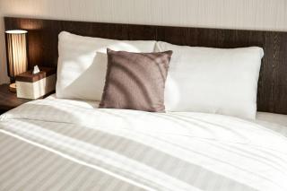 CS Premier Hotel - 9