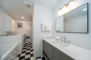 Sea Lion Crossing - 3