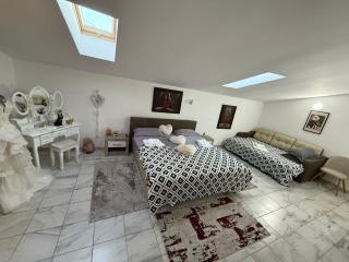 Casa Rustica Cernica - 3