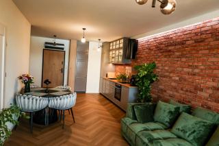 Apartament Szałwiowy i Ceglany z pięknym widokiem na miasto - 8