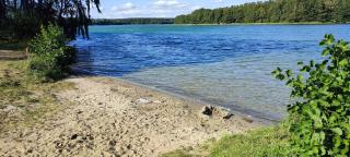 Villa Wildrose mit Sauna und Beachfußballplatz - 6