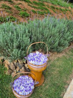 chales 03 canário fogo - 4