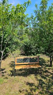 Apartmenthaus-Winkler Wiener Neustadt Umgebung - 1