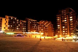 Un Isard au Pied des Pistes - 2