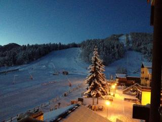 Un Isard au Pied des Pistes - 4