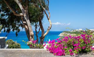 Alkistis Beach Hotel - Designed for Adults - 9