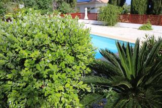 Villa Serenity - 5