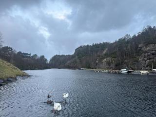 Aurora Bliss - Luxury Waterfront Apartment near Bergen with Sauna & Jacuzzi - 2