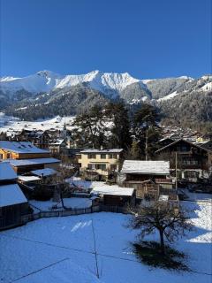 zentrale Ferienwohnungen in Frutigen - 8