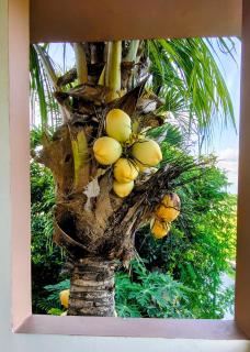 Ada Waktu Homestay - 3