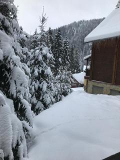 Котеджі Сім Вітрів - 3