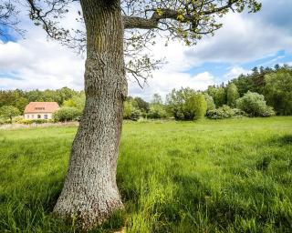 Historisches Landhaus In Abgeschiedener Natur - 3