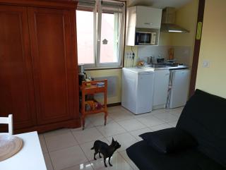 Le Buisson de la Demoiselle, gite classe 1 etoile - 1