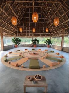 Sree Veda Wellness Resort - 4